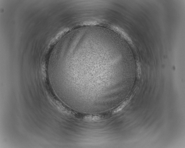 X0000080160354200612221231