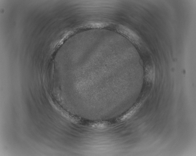 X0000080160358200612221231