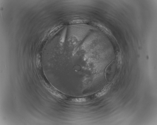 X0000080160361200612221232