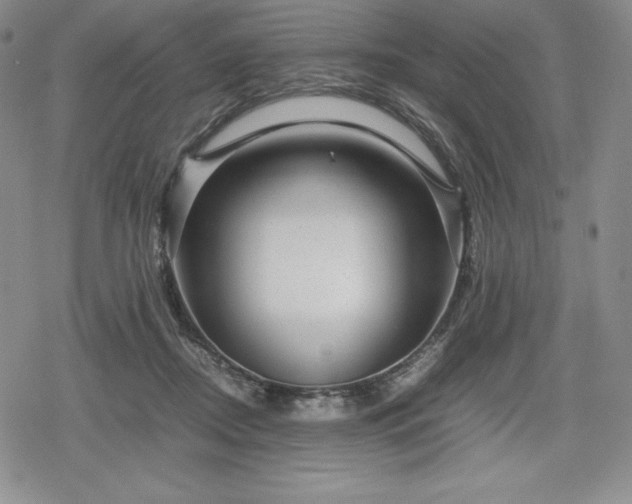 X0000080160362200612221232