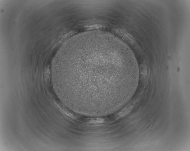 X0000080160369200612221232