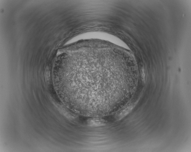 X0000080160372200612221232