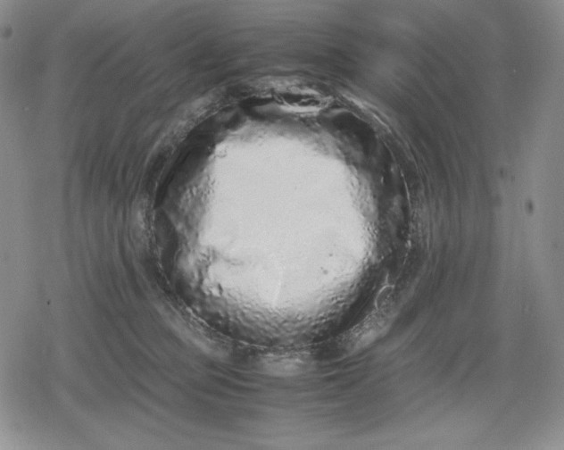 X0000080160373200612221232