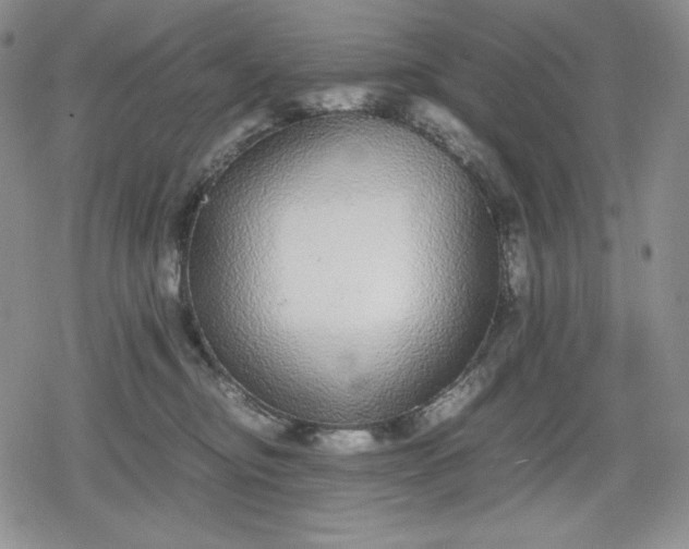X0000080160374200612221232
