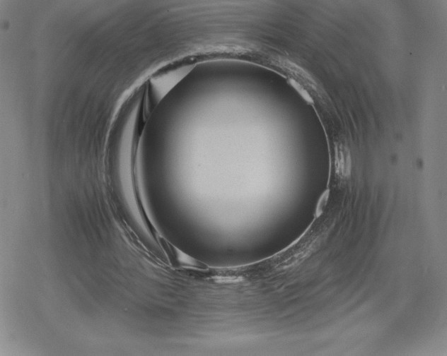 X0000080160388200612221231