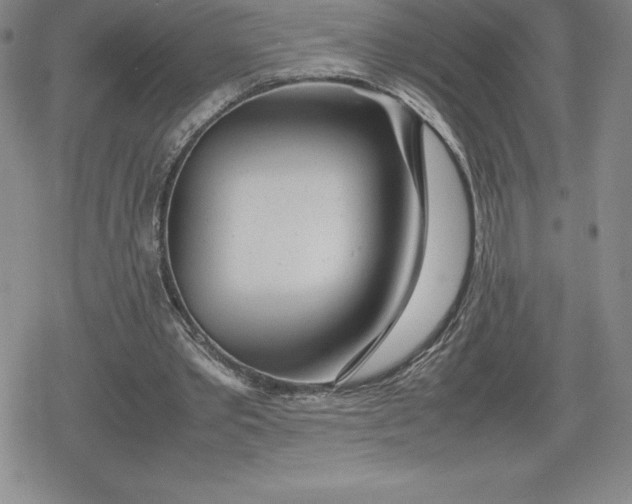 X0000080160389200612221231