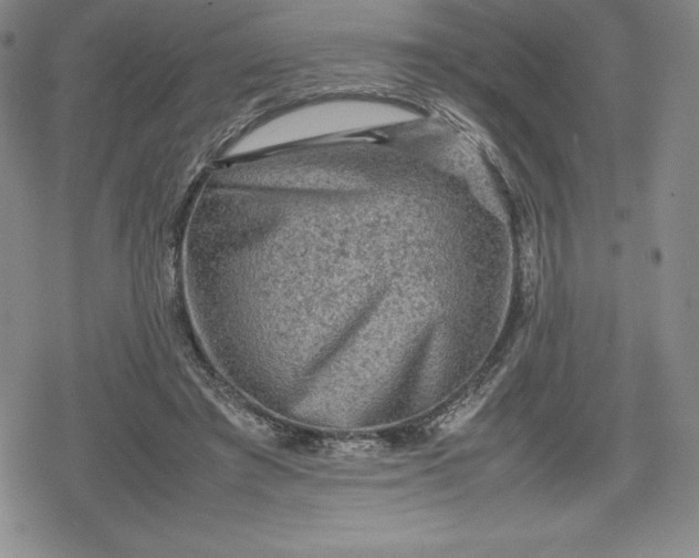 X0000080160401200612221231