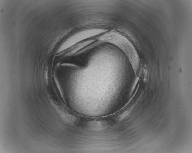 X0000080160404200612221231