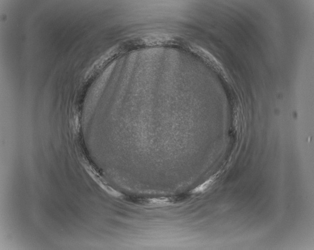 X0000080160405200612221231
