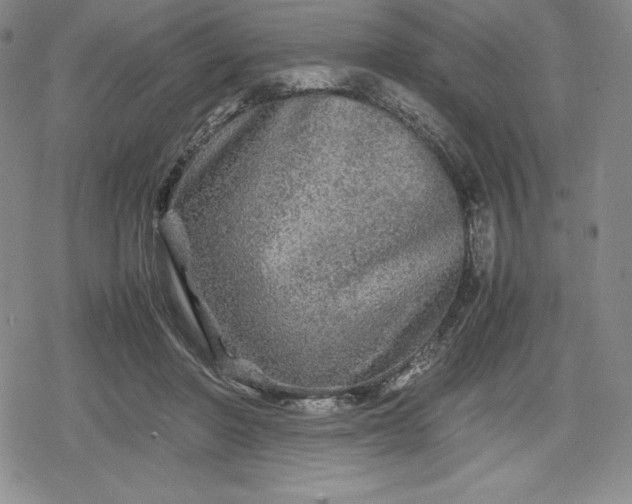 X0000080160406200612221231