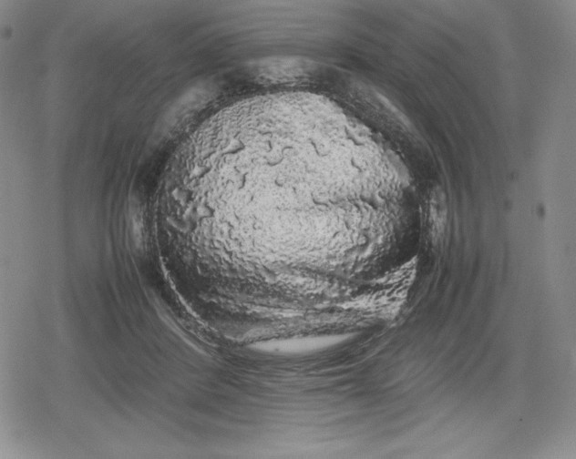 X0000080160408200612221231