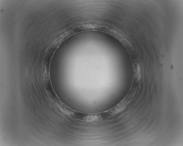 X0000080160418200612221231
