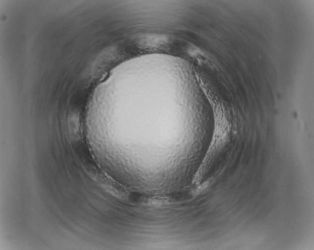 X0000080160420200612221231