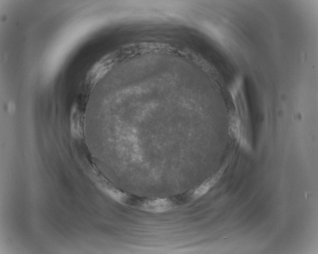 X0000080160431200612221230
