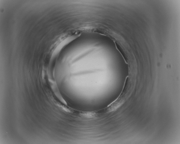 X0000080160432200612221230