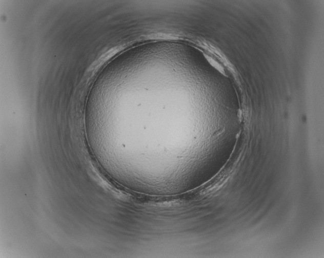 X0000080160433200612221230