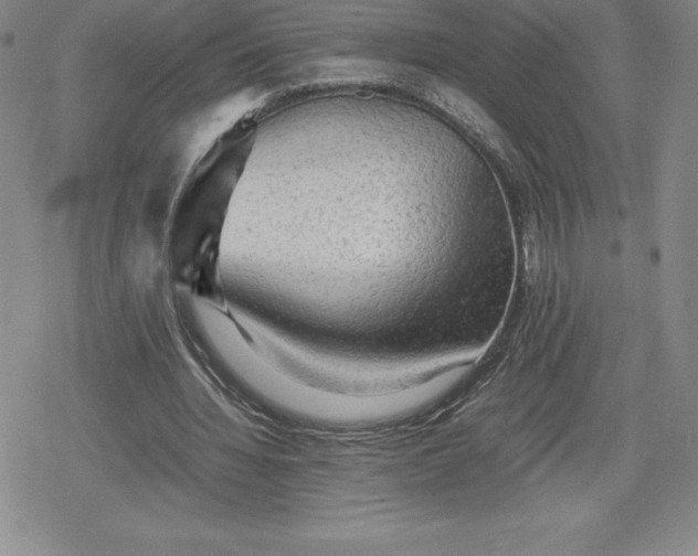 X0000080160436200612221230