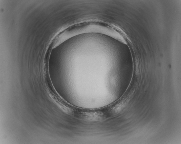 X0000080160439200612221230