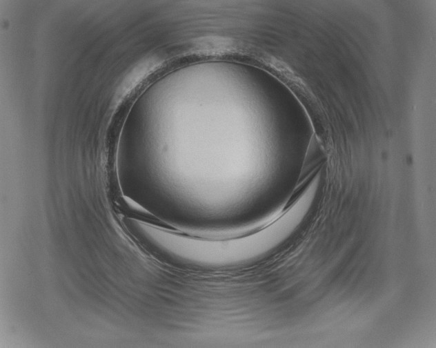 X0000080160440200612221230