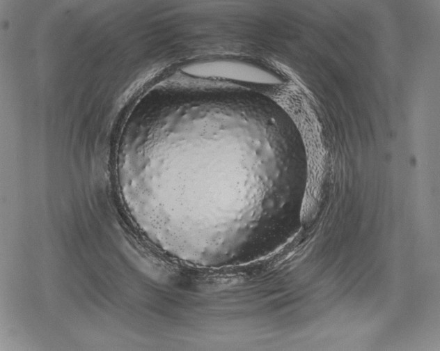 X0000080160443200612221230