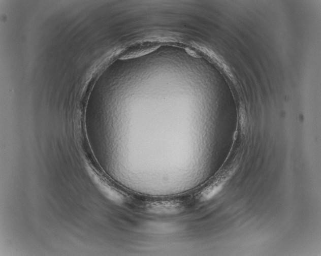 X0000080160445200612221230