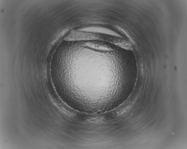 X0000080160447200612221230