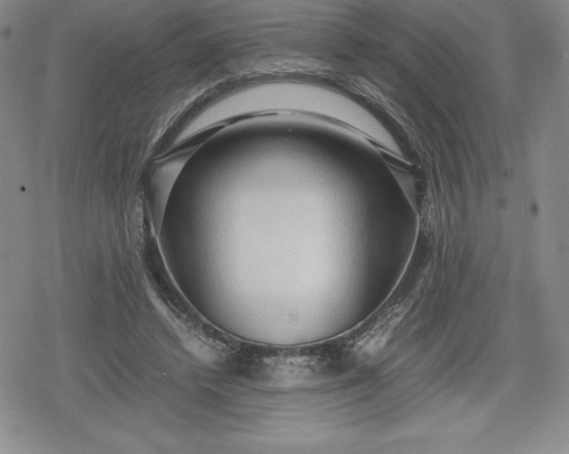 X0000080160448200612221230