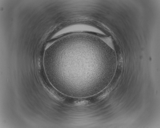 X0000080160452200612221230