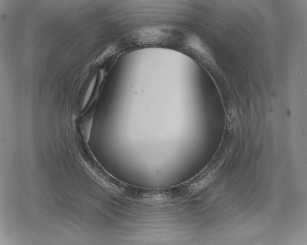 X0000080160454200612221230