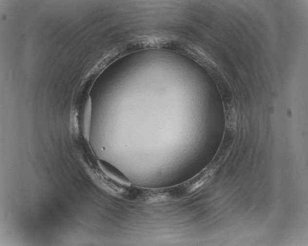 X0000080160456200612221230