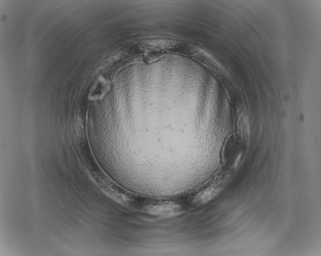 X0000080160459200612221230
