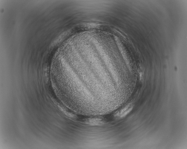 X0000080160462200612221230