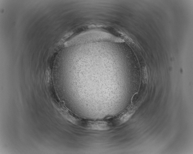 X0000080160463200612221230