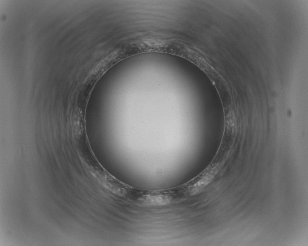 X0000080160464200612221230