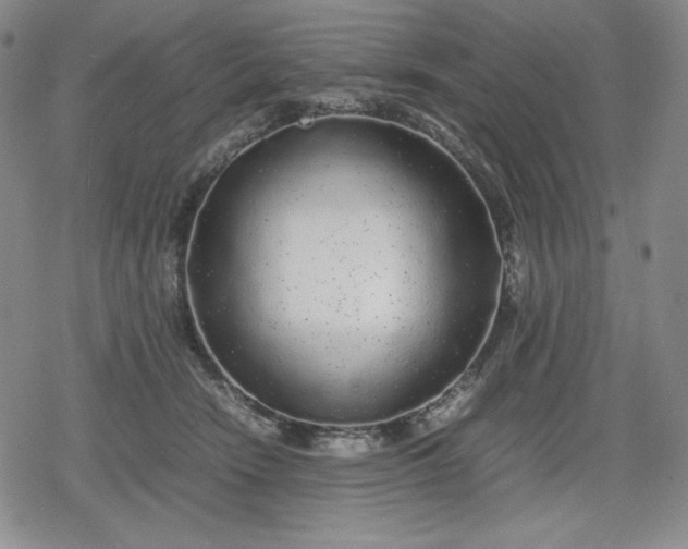 X0000080160466200612221230