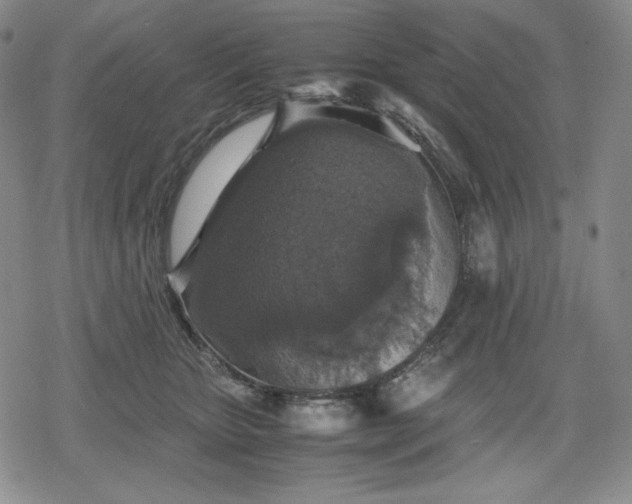 X0000080160467200612221230