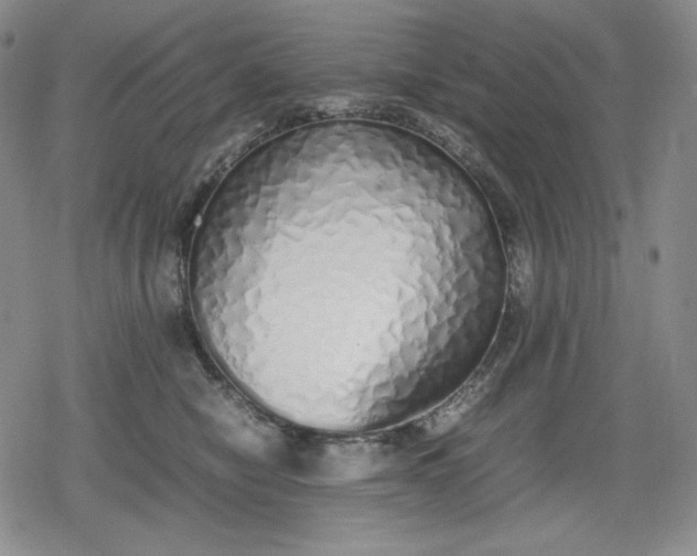 X0000080160470200612221230