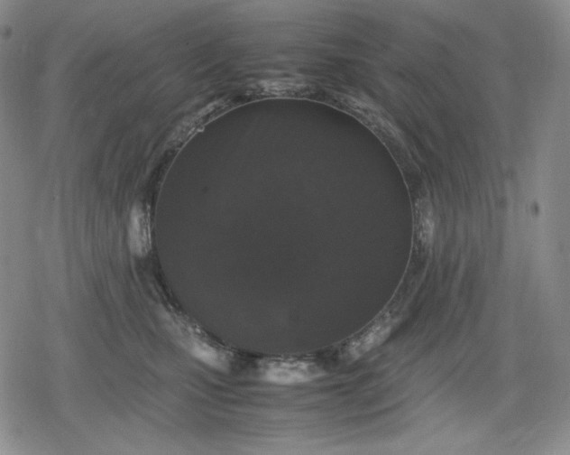X0000080160471200612221230