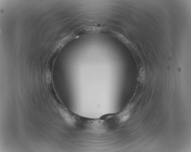 X0000080160474200612221230