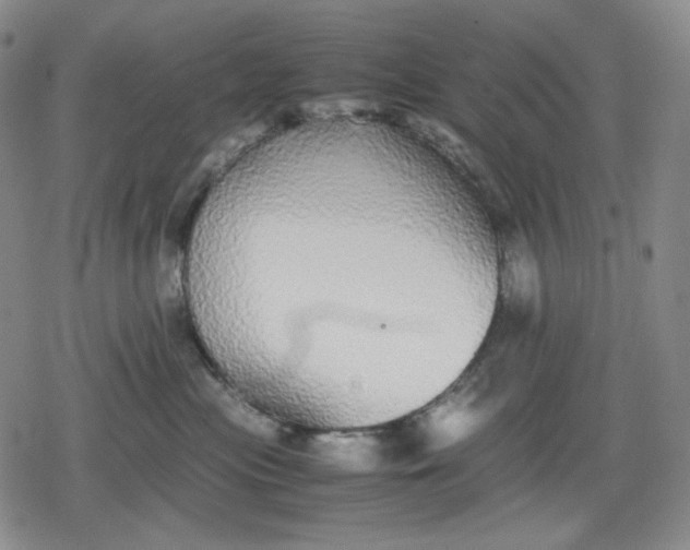 X0000080160477200612221230
