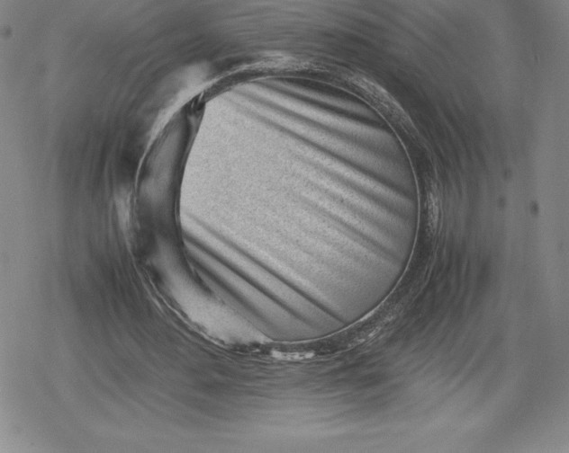 X0000080160484200612221230