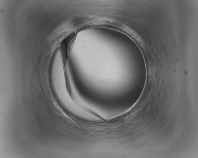 X0000080160485200612221230
