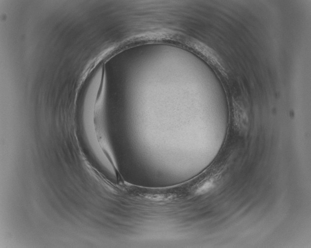 X0000080160486200612221230