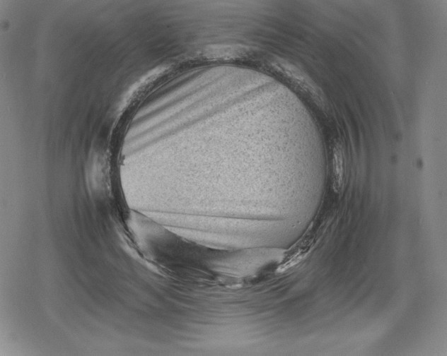 X0000080160492200612221229