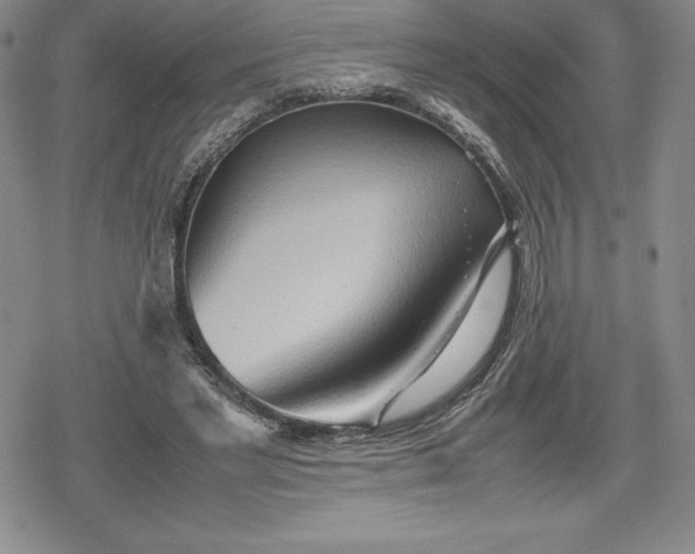 X0000080160493200612221229