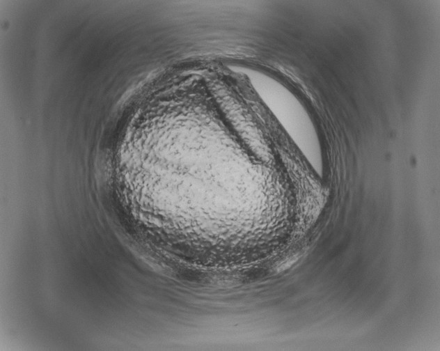 X0000080160495200612221229
