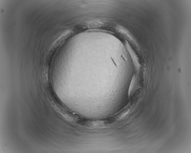 X0000080160501200612221229