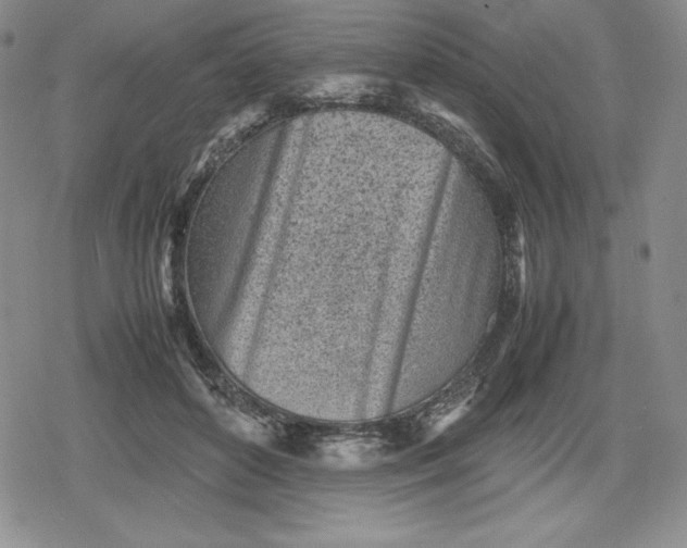 X0000080160504200612221229