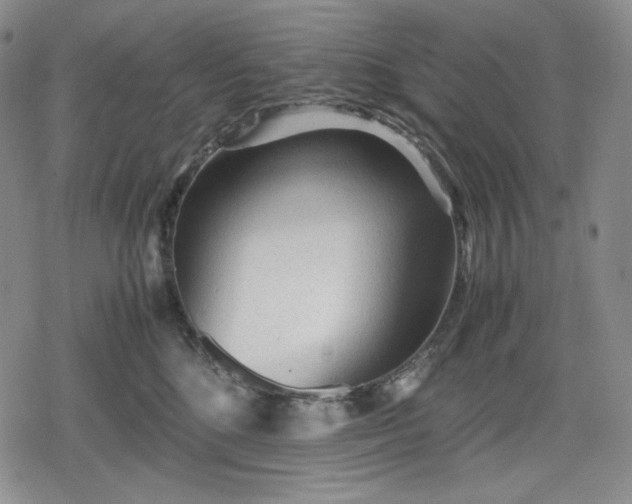 X0000080160520200612221229