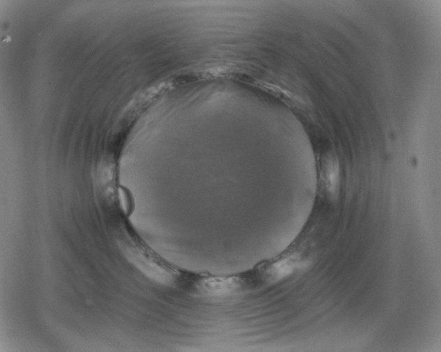 X0000080160526200612221229